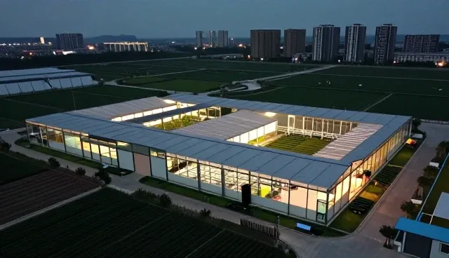 局部改造中的性能优化与适用条件分析